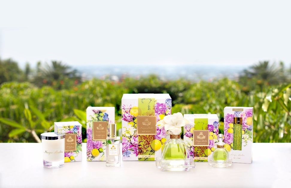 Agraria Home Well Read Department Store